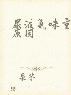 尿液氨味重是啥原因