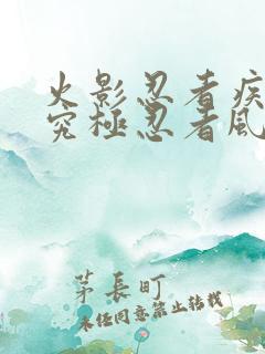 火影忍者疾风传究极忍者风暴