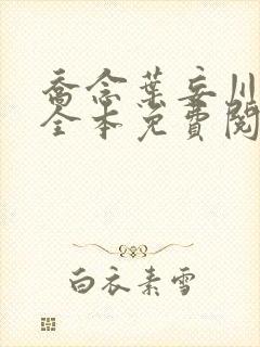 乔念叶妄川小说全本免费阅读正版