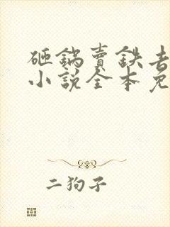 砸锅卖铁去上学小说全本免费阅读