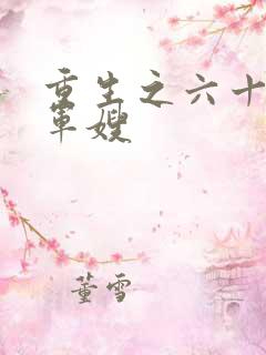 重生之六十年代军嫂