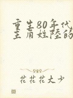 重生80年代的主角姓陆的小说