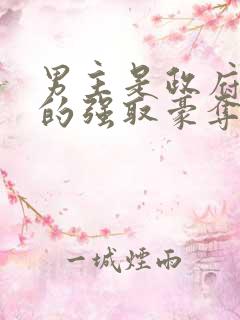 男主是政府高官的强取豪夺高干文