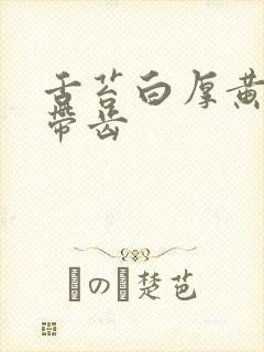 舌苔白厚黄舌尖带齿