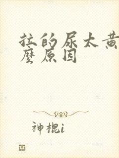 拉的尿太黄是什么原因