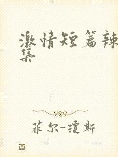 激情短篇辣文合集