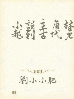 小说主角林云穿越到古代免费阅读