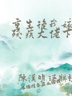 重生后我嫁给了残疾大佬下载