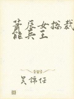 萧辰女总裁的全能兵王