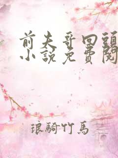 前夫哥回头是三小说免费阅读