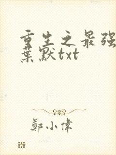 重生之最强弃少叶默txt