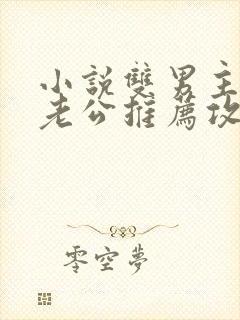 小说双男主虐文老公推荐攻略同人文