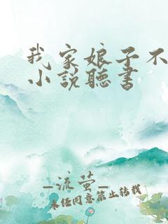 我家娘子不对劲小说听书