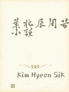 叶北辰周若妤的小说