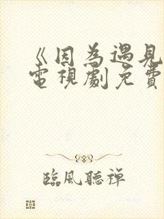 《因为遇见你》电视剧免费播放