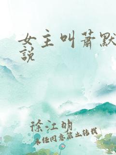 女主叫萧默的小说