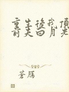 重生后我顶替了前夫白月光完本