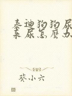 泰迪狗狗尿不出来尿怎么办