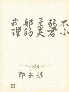 我那柔弱不能自理的夫君小说无广告