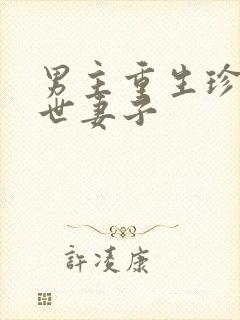 男主重生珍惜前世妻子