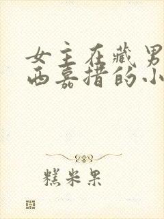 女主在藏男主扎西嘉措的小说