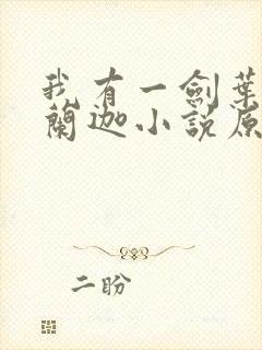 我有一剑叶观纳兰迦小说原文免费阅读