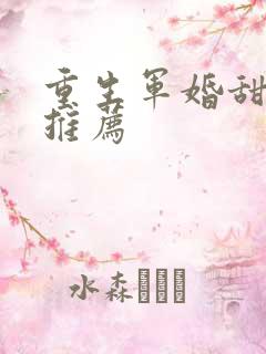 重生军婚甜宠文推荐