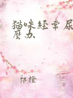 猫咪经常尿闭怎么办