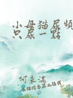 小母猫尿频一次只尿一点