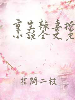 重生辣妻撩夫忙小说全文免费阅读