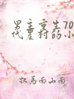 男主重生70年代农村的小说