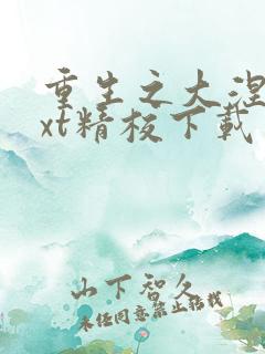 重生之大涅磐txt精校下载