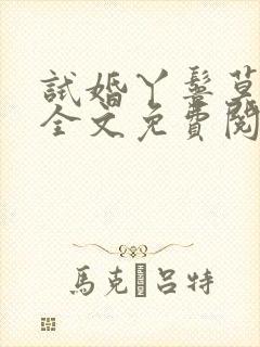 试婚丫鬟莫胡为全文免费阅读小说