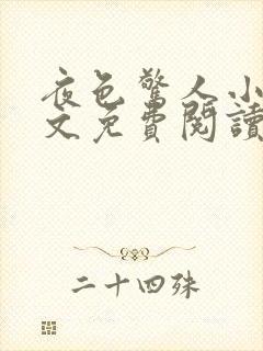 夜色惊人小说全文免费阅读txt完结版