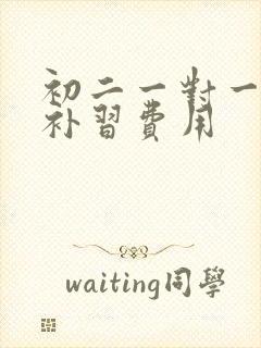 初二一对一数学补习费用