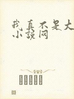 我真不是大佬 小说网