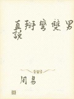 直掰弯双男主小说