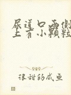 尿道口两侧外阴上有小颗粒