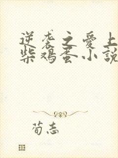 逆袭之爱上情敌柴鸡蛋小说离线下载