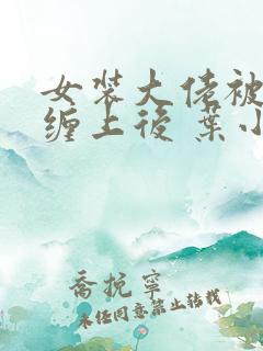 女装大佬被霸总缠上后 叶小幸