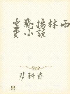 云飞扬林雨初免费小说