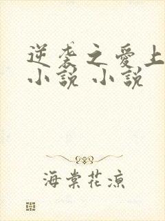 逆袭之爱上情敌小说 小说