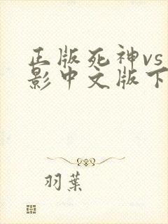 正版死神vs火影中文版下载