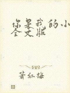 你是我的小确幸全文版
