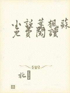 小说叶枫苏清雪免费阅读