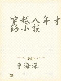 穿越八年才出道的小说