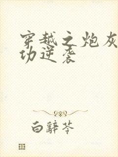 穿越之炮灰的成功逆袭