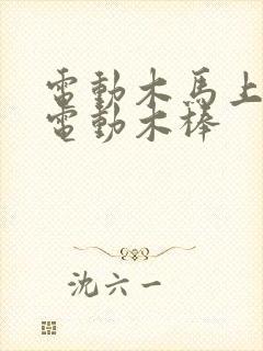 电动木马上两个电动木棒