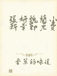 张妍魏兰小说最新章节免费阅读