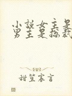 小说女主是导演男主是总裁